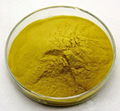 Cortex Phellodendri Extract