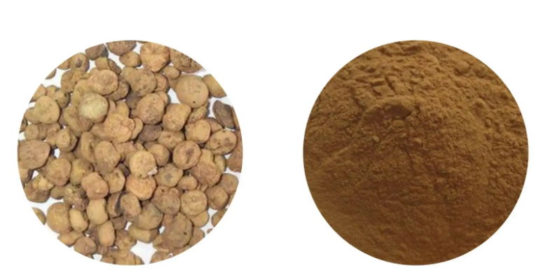 Corydalis Yanhusuo Extract