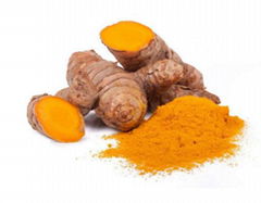 curcumin Powder