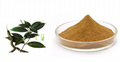 Morinda officinalis extract