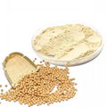 Soybean extract Isoflavones Phosphatidylcholine powder
