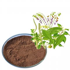 Cheapest price indigowoad leaf extract Isatis leaf extract Indirubin powder 