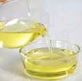 Garlic oil