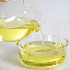 Garlic oil