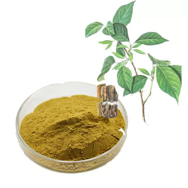 Eucommia leaf extract powder Chlorogenic acid