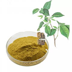 Eucommia Bark extract