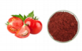 Tomato extract