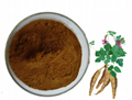 Pueraria Mirifica extract 1