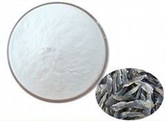 Marine fish oligopeptide powder