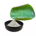 Factory supply cosmetic material Lotus Leaf Extract Nuciferine Powder
