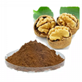 Black walnut powder walnut kernel
