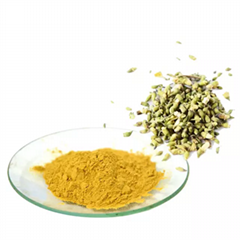 Best price Sophora japonica extract Quercetin Powder Rutin powder 98%