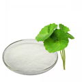 Asiatic Acid Powder Centella Asiatica Extract 1