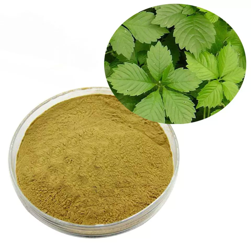 factory offer Gynostemma Pentaphyllum Extract