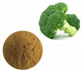 Sulforaphane (SFN) 1