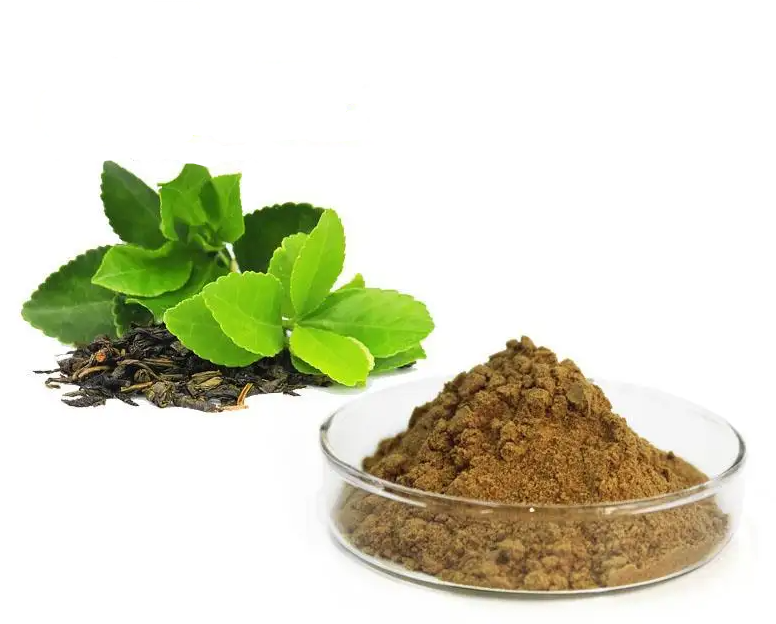 Green Tea extract tea polyphenols 