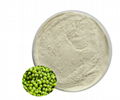 Mung bean peptide 1