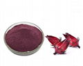 Hibiscus flowers extract 1