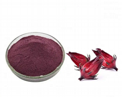 Hibiscus flowers extract