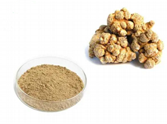 Panax notoginseng extract