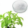 hight quality stevia extract