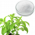 hight quality stevia extract