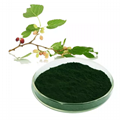 Cheapest price 1-DNJ 1-Deoxynojirimycin Sodium Copper Chlorophyll Mulberry leaf  1