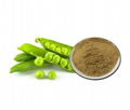 Pea peptide