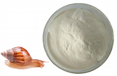 蜗牛蛋白酶