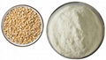 小麥低聚肽 1
