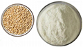 Wheat peptide