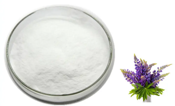 Lupeol 545471 Changsha Staherb (China Manufacturer) Plant