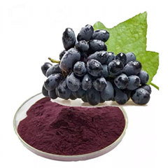 Black currant extract Bilberry extract Proanthocyanidin