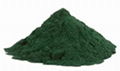 Spirulina Powder 1