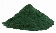 Spirulina Powder