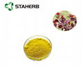 Fisetin Extract