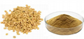 Fenugreek Extract