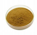 Engelhardtia Extract