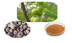 Emblica Officinalis Extract