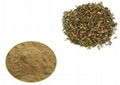 Eclipta Alba Extract 1