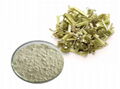 Leonurus heterophyllus extract