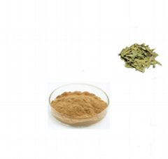 Sanna Leaf Extract Cassia angustifolia, Cassia senna 20%