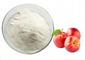 Apple vinegar powder total acid 10%