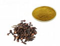 clove extract 1