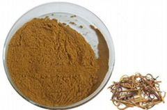 uncaria extract