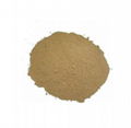 Radix Ophiopogonis Extract