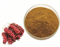 Schisandra chinensis Extract	