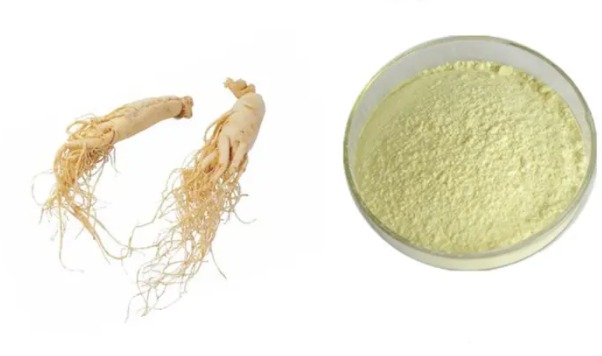 ginseng extract	 2