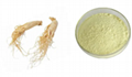 ginseng extract	