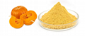 pumpkin powder extract